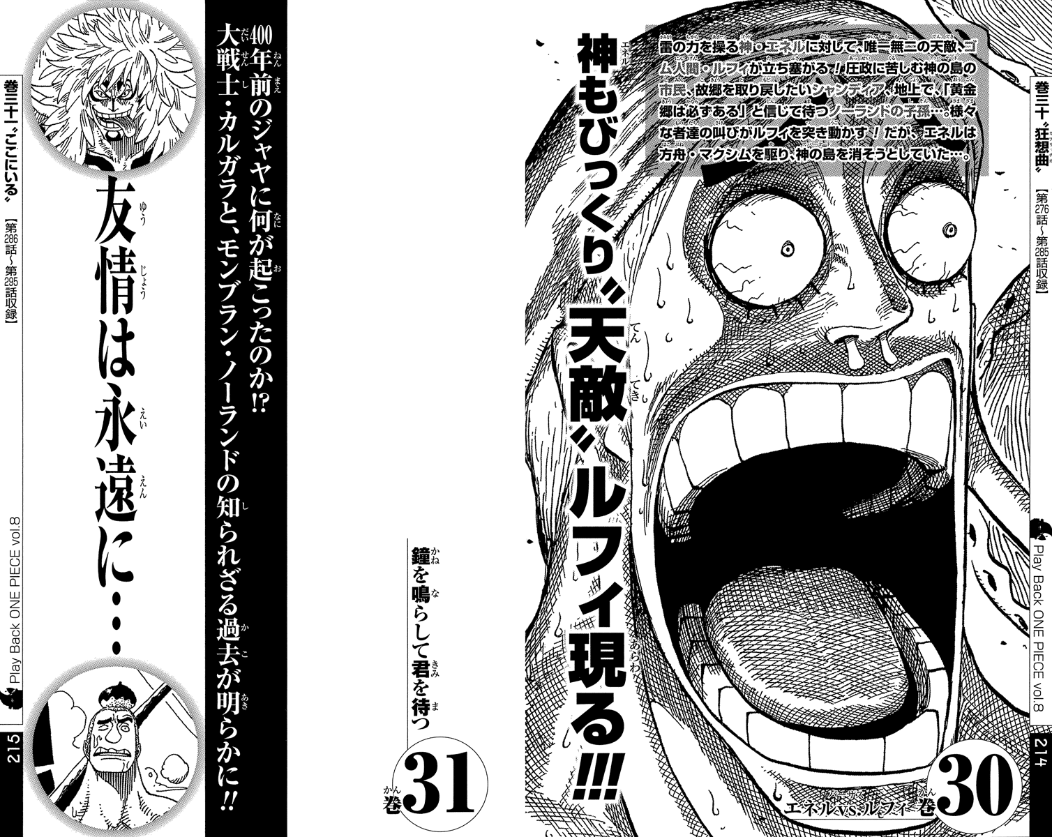 One Piece, Chapter 491 image 24